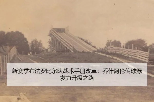 xin-sai-ji-bu-fa-luo-bi-er-dui-zhan-shu-shou-ce-gai-ge-qiao-shen-a-lun-chuan-qiu-bao-fa-li-sheng-ji-zhi-lu-2-120.jpg