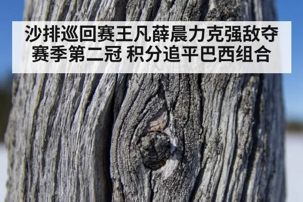 沙排巡回赛王凡薛晨力克强敌夺赛季第二冠 积分追平巴西组合